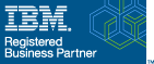 IBM Business Partner Logo